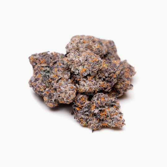 Pigeon Racer Farm - Jealousy 3.5g - 1