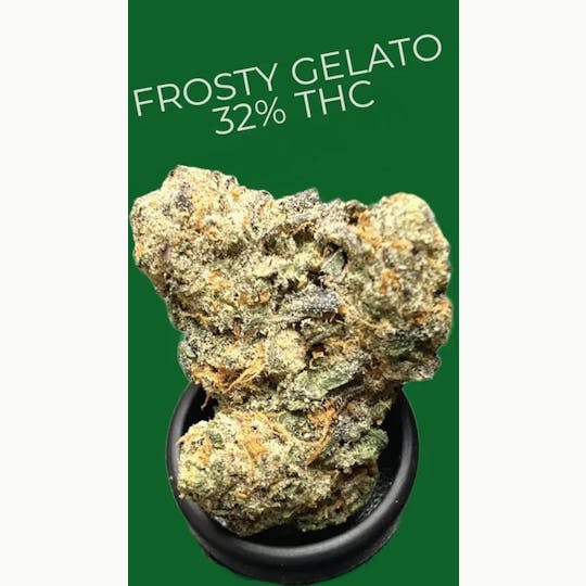 Top Shelf Express - Frosty Gelato Budlets ($110 an oz) - 1