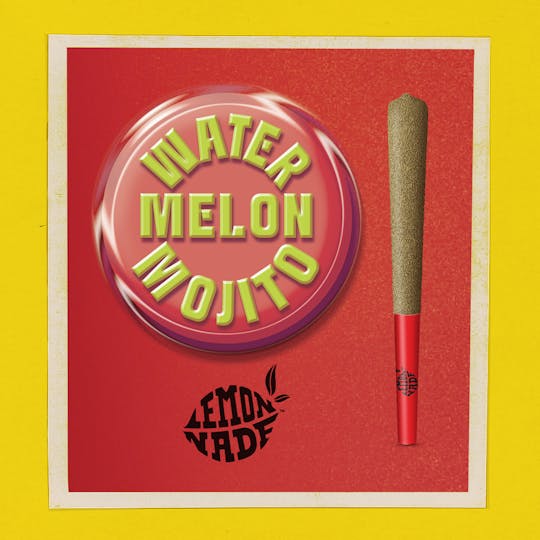 Lemonnade - Lemonnade - 1G Infused Pre Roll - Watermelon Mojito - 1