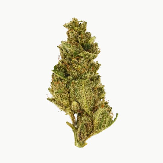 Smoakland - Eighthz - Froot Loops (H) - 3.5g - 1