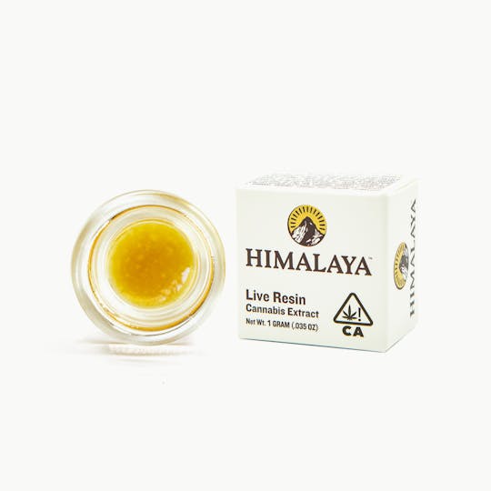 HIMALAYA - Amarelo (Live Resin Concentrate) -1G - 1