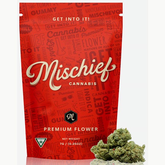 Mischief - Mischief | Bernie's Revenge | Flower | 7g - 1