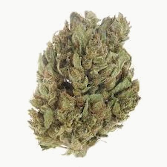 Cannafeen - VANILLA FROSTING - 1