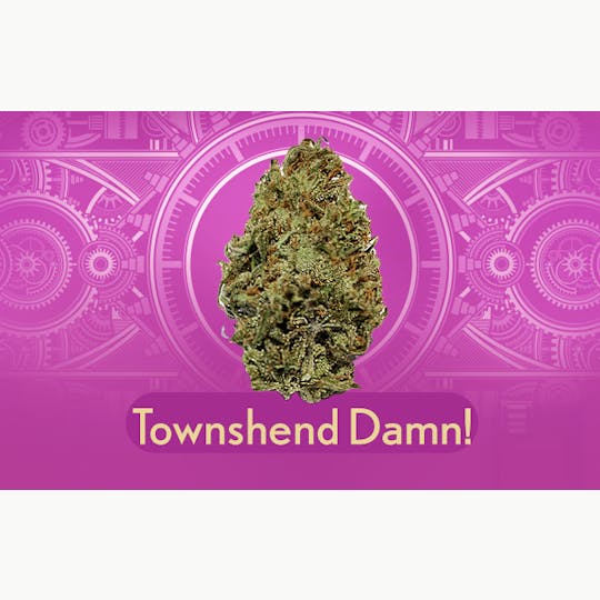 Craft Cannabis of Vermont - Townshend Damn! - 1