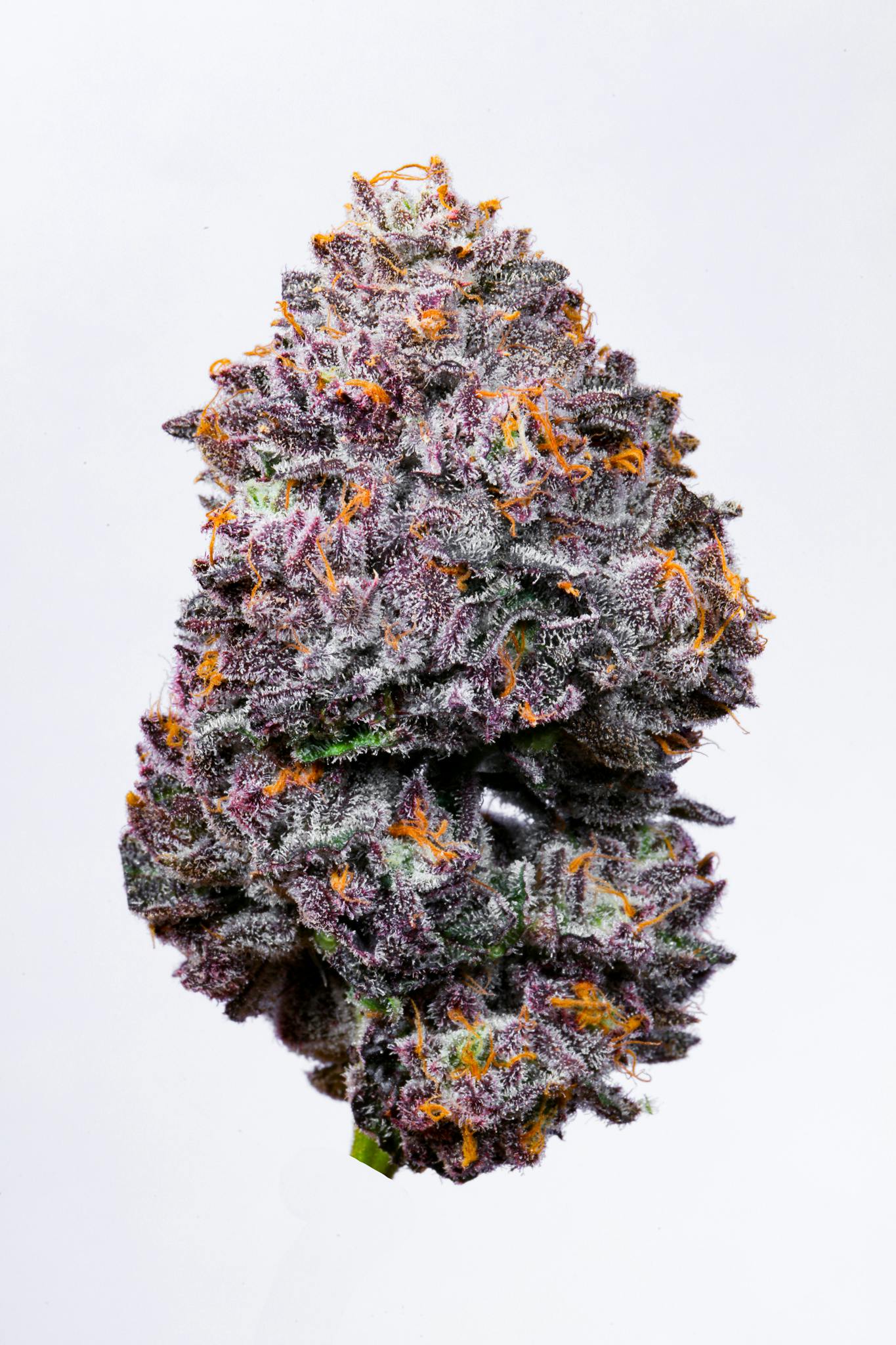 Permanent Marker Doja Exclusive