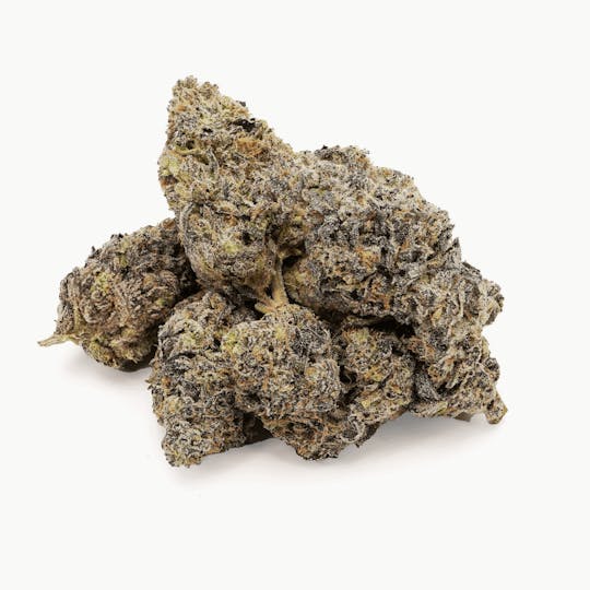 Pigeon Racer Farm - Gelato Cookies 3.5g - 1