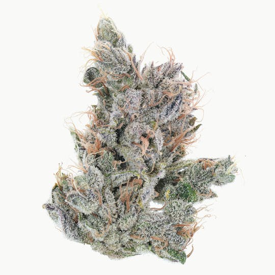 East Coast Cannabis - Ghost Train Haze - 1
