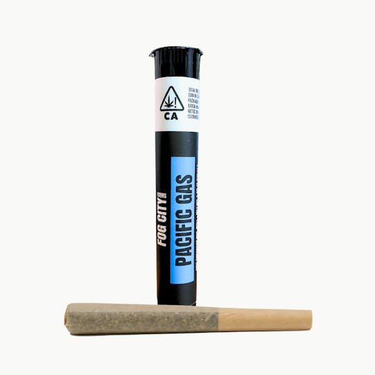 Fog City Farms - Pacific Gas Single 1g Preroll - 1
