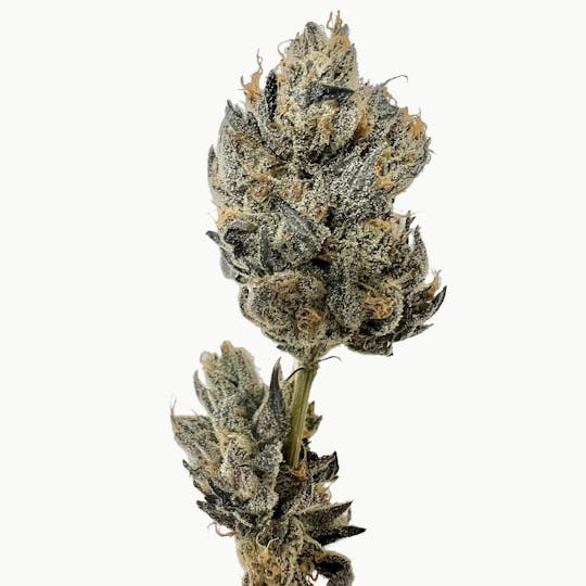 East Coast Cannabis - Rosé Killer - 1