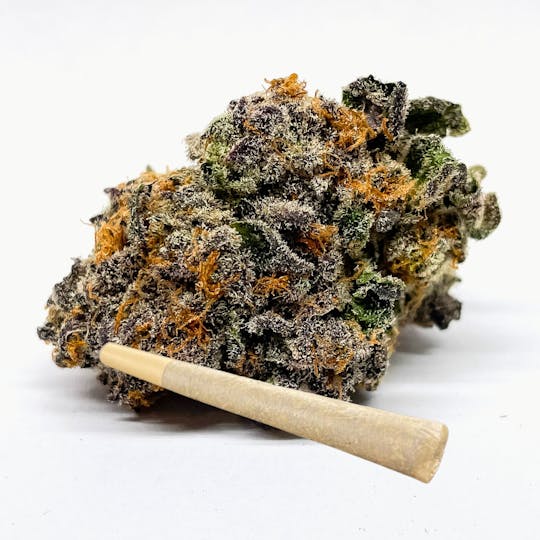 BeWell Organic Medicine - Rotten Rozay 1g Pre-Roll - 1