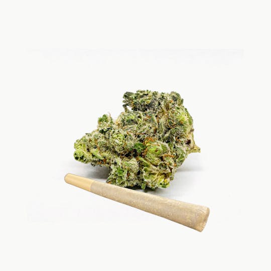BeWell Organic Medicine - Lemon Grab 3.5G Flower - 1