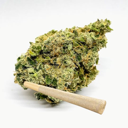 BeWell Organic Medicine - Motor Milk 3.5G Flower - 1