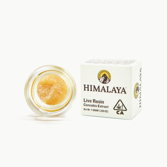 HIMALAYA - GMO Rootbeer (Live Resin Concentrate) -1G - 1
