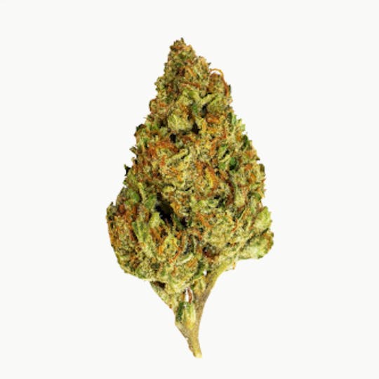 Smoakland - BLACK - GovernMint Oasis (I) - 14g - 1