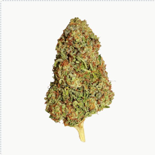 Smoakland - BLACK - Ghost Vapor (H) - 14g - 1