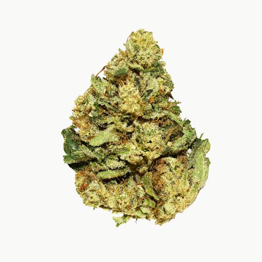 Smoakland - Eighthz - Ron Burgundy (S) - 3.5g - 1