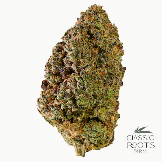 Classic Roots Farm - Murder Mint - 1