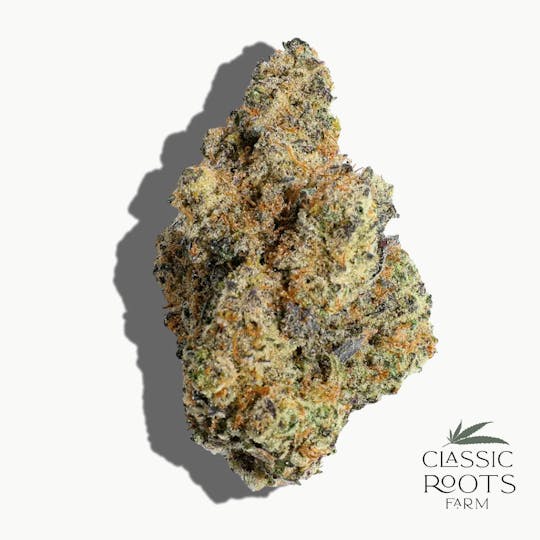 Classic Roots Farm - Daily Slap - 1