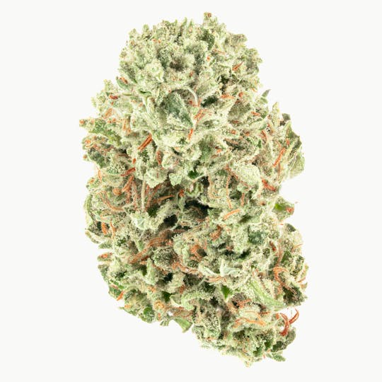 Joy Ridge Farms - Alien OG - 1
