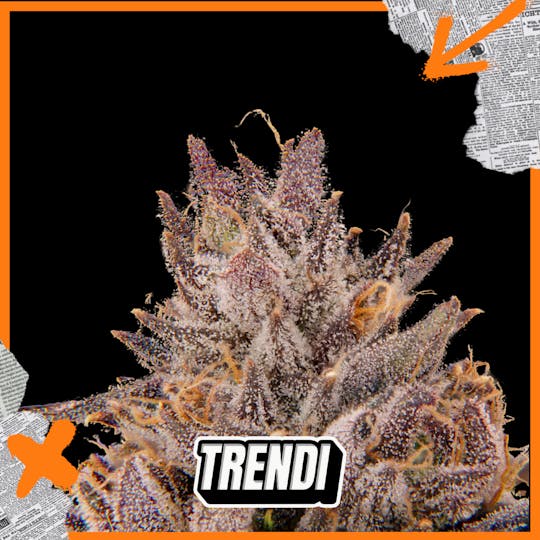 Trendi - FR Rose Killer Prepack | 3.5g - 1