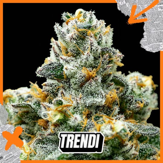 Trendi - IF Flavor Crystals Prepack | 3.5g - 1