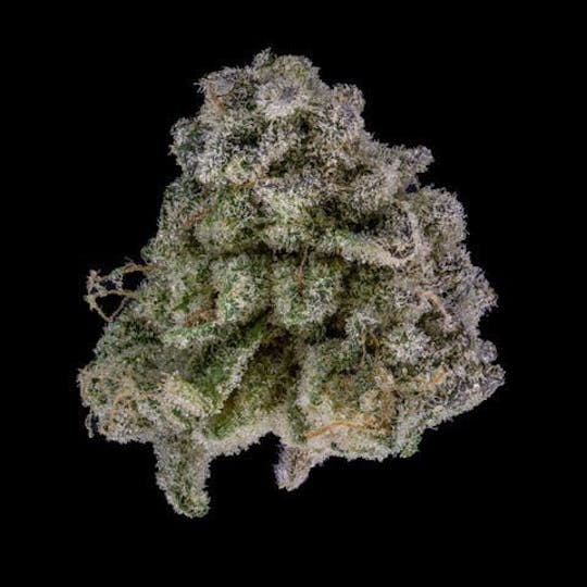 East Coast Cannabis - Rainbow Belts 3.0 - 1