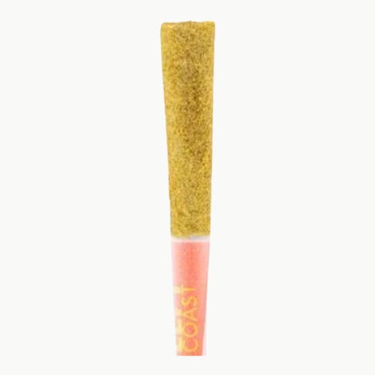 LEFT COAST - Lil Lefty Infused Preroll Single .75G - MONSTER COOKIES - 1