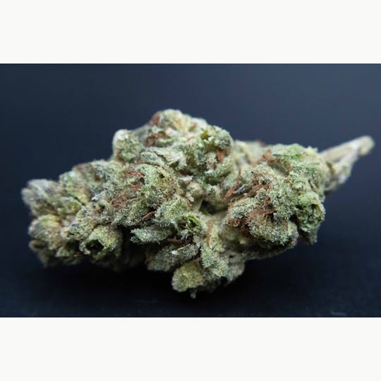 Trusty Transportations - Funky Pine 8th/3.5Grams(31%THC, Sativa) - 1