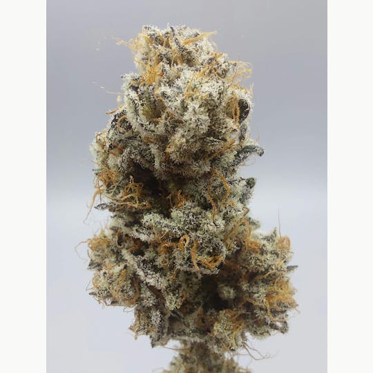 Ripple Wellness - Flower - Private Reserve - Dumpsta Funk #10 - 1