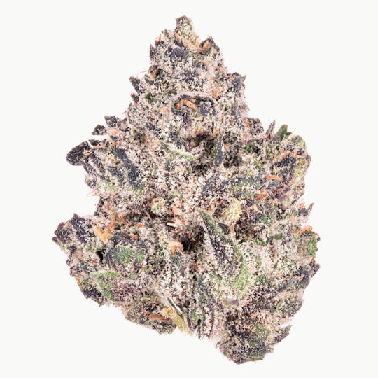 Quality Over Quantity - Guava Flower - 1