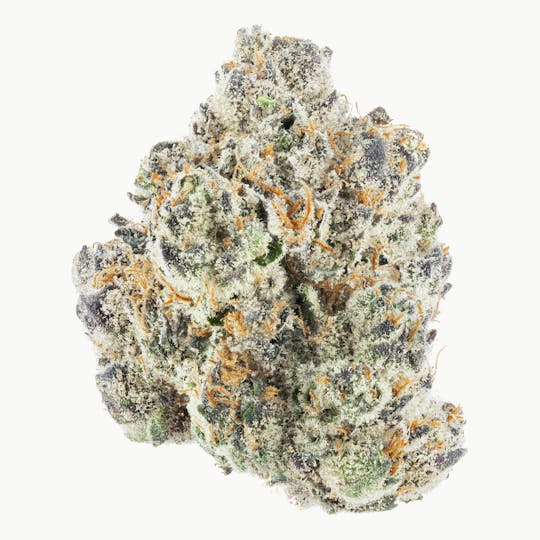 Quality Over Quantity - Cherry Burst - 1
