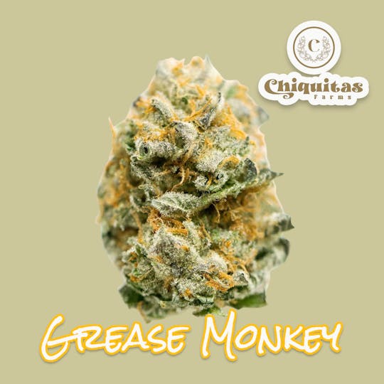 Chiquitas Farms - Grease Monkey - 1