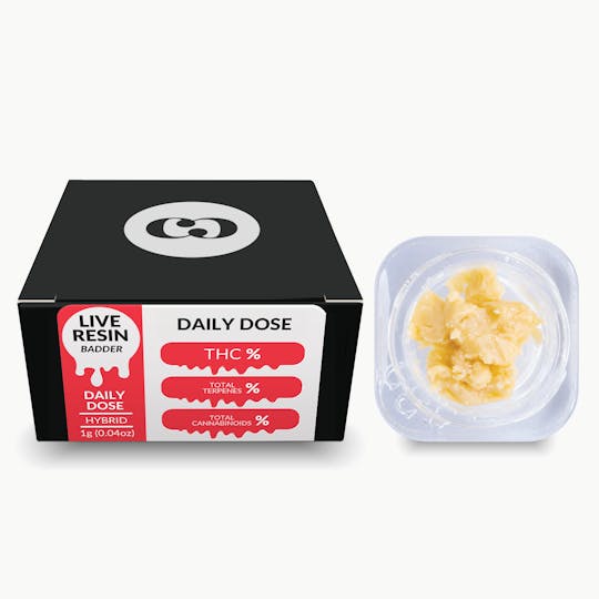 Common Citizen - Common Citizen Chem x Chocolate Live Resin Badder 1g - 1