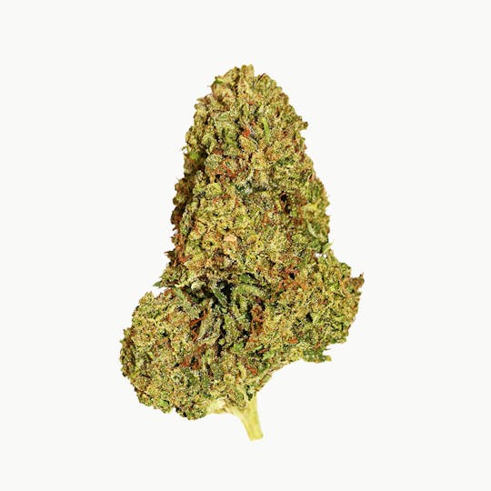 Smoakland - Black - Wedding Trees (H) - 14g - 1