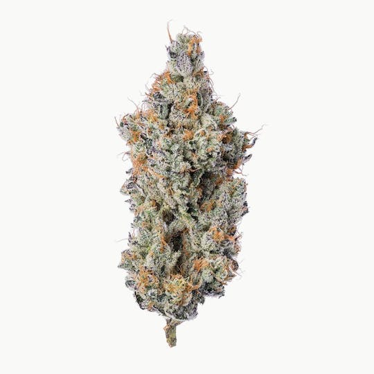 Purple Lotus - Blue Chip - Fun Popz - 1