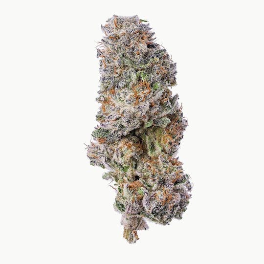 Purple Lotus - Blue Chip - White Truffle - 1