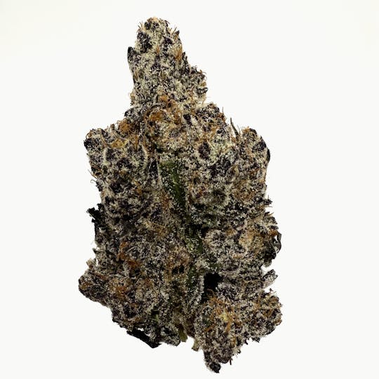Northeast Alliance - Musty Buffalo - 1