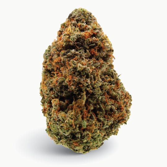 Gas Station Cultivation - Tea Time Flower - 1