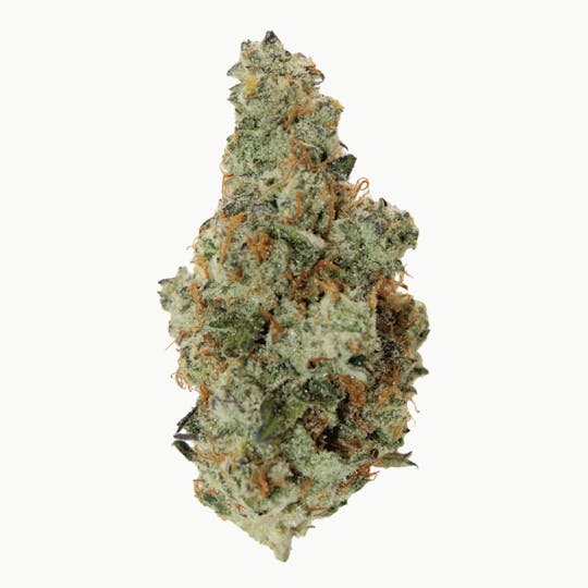 Gas Station Cultivation - Kitchen Sink Flower - 1