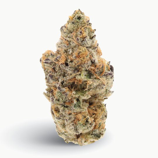Gas Station Cultivation - OMFG Flower - 1