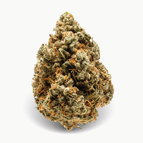 Gas Station Cultivation - RS11 Flower - 1