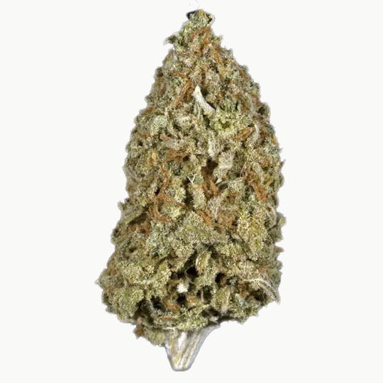 Animal - Candy Cane Kush - Hybrid - 30% THC - 1