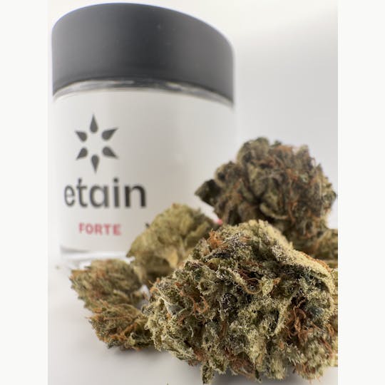 Etain - Forte Whole Flower - Grandaddy Black (GDB) - 1