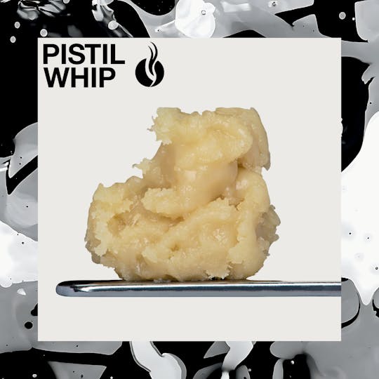 Pistil Whip - Bananas N Cream Live Rosin Badder (1g) - 1