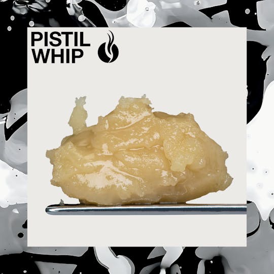 Pistil Whip - Papaya Berry Runtz Live Rosin Badder (1g) - 1