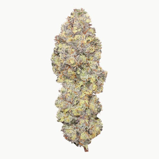 Enlighten - Kush Crasher - 1