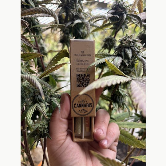 Craft Cannabis of Vermont - Pop Pop's Cookies - 1