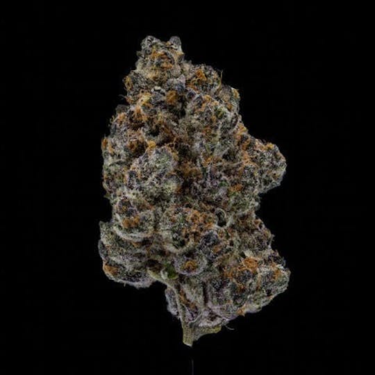 East Coast Cannabis - Blockberry - 1