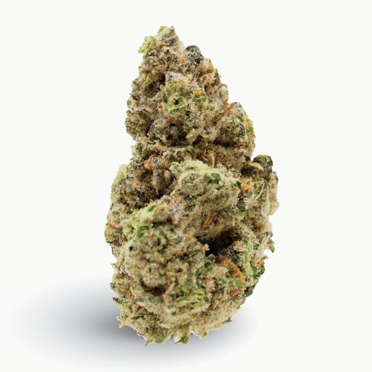 Gas Station Cultivation - Truffle Cake Flower - 1