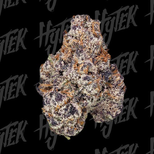 Hytek - HYTEK | LEMON CHERRY GELATO | BULK DELI FLOWER - 1
